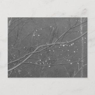 Bijkantoor in de regen briefkaart