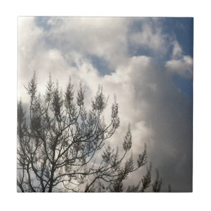 Bijkantoren in de wolken tegeltje