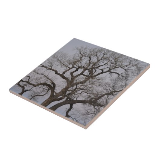 bijkantoren tegeltje (Zijkant)