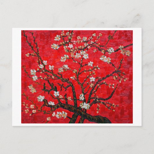 Bijkantoren van de amandelboom in Blossom, Van Gog Briefkaart (Voorkant)