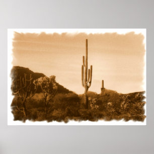 bijna verdwenen ( woestijn in sepia ) druk poster