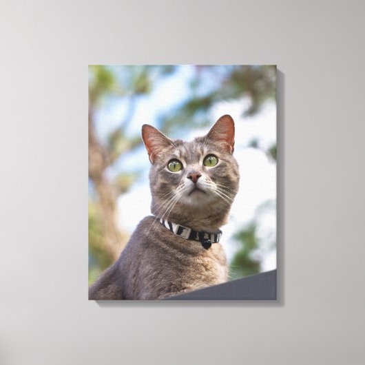 Bijou op het dak canvas afdruk (Voorkant)