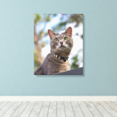 Bijou op het dak canvas afdruk (Insitu (Houten vloer))