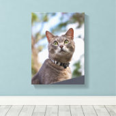 Bijou op het dak canvas afdruk (Insitu (Houten vloer))