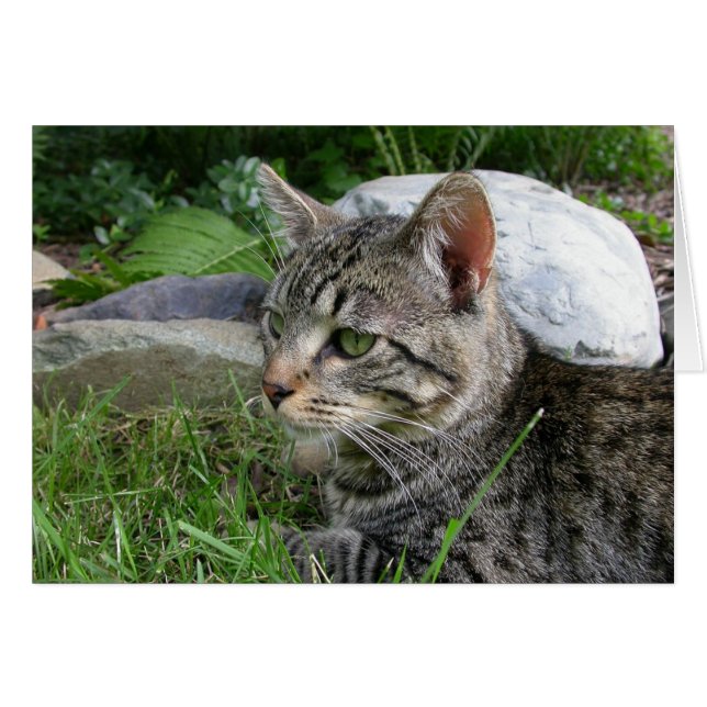 Bijou Stone (Devant horizontal)