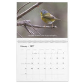 Bijoux de printemps - calendrier de fauvettes (Feb 2027)