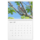 Bijoux de printemps - calendrier de fauvettes (Mar 2027)