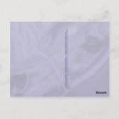 Bijoux du désert Carte postale de chevaux arabes (Dos)