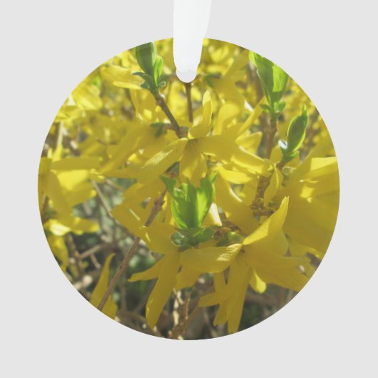 Bijoux - Pendentif - Forsythia (devant)