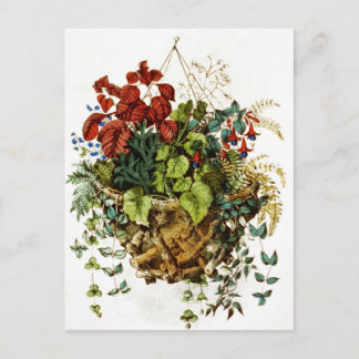 Bijtwijgmand met bloemen en planten briefkaart