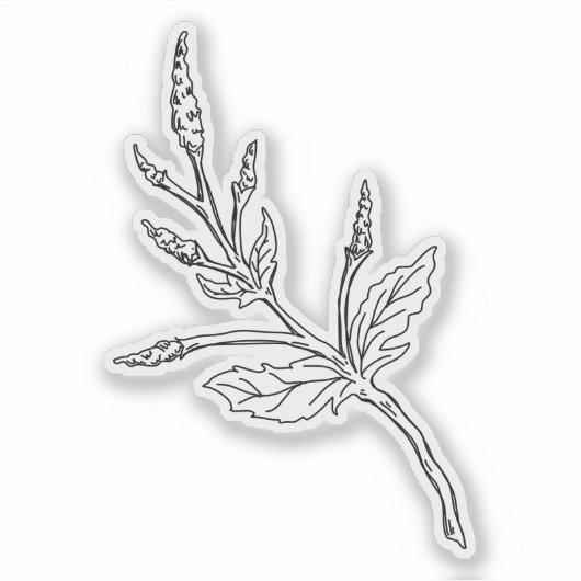 Bijvoet Kruid Sticker (Voorkant)