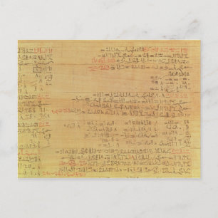 Bijzonderheden van het Rijnmathematisch papyrus Briefkaart