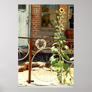 Bike Fence Poster