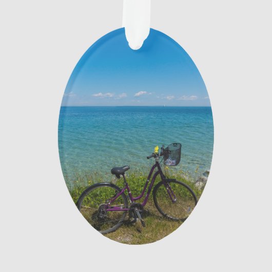Bike in Mackinac Ornament (achterkant)