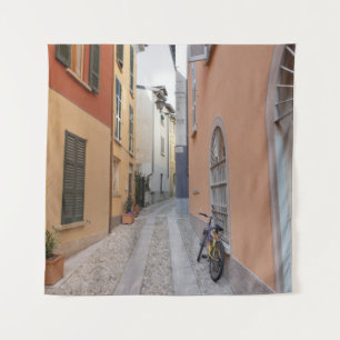 BIKE PARKED BESIDE WALL ON ALLEY WANDKLEED
