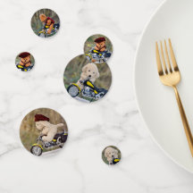 Biker Teddybeer en Hond  -