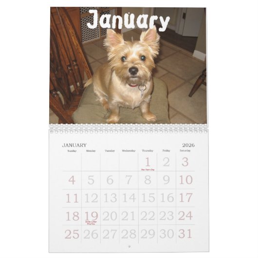 Bilgewater Calendar Kalender (Jan 2026)
