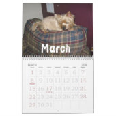 Bilgewater Calendar Kalender (Mar 2026)