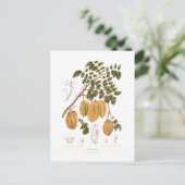 Bilimbi Briefkaart (Staand voorkant)