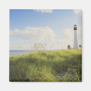 Bill Baggs Cape Florida-vuurtoren, Bill Baggs Magneet