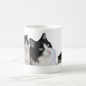 Bill Koffiemok (Center)