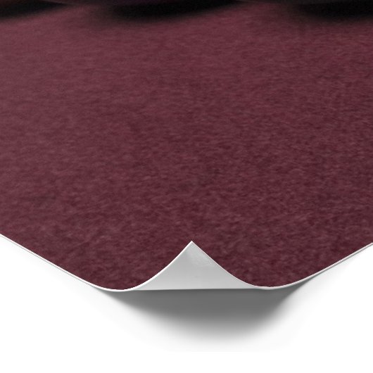 Billiards Poster (Hoek)