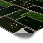  Billiards Table Pool Table Pool Sharks Poster (Hoek)