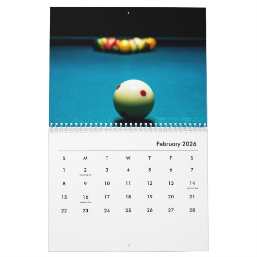 Billiards Wall Calendar Kalender (Feb 2026)