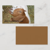 Bill's Feed & Seed Visitekaartje (Voorkant / Achterkant)