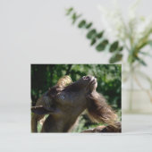 Billy Goat Briefkaart (Staand voorkant)