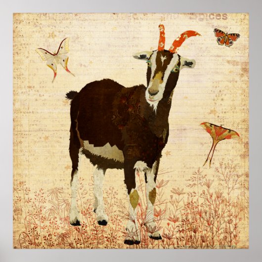 Billy Goat & Butterflies Poster (Voorkant)