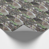 Billy Goat Cadeaupapier (Hoek)