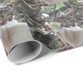 Billy Goat Cadeaupapier (Rol Hoek)