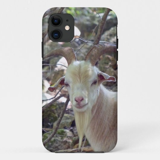 Billy Goat Case-Mate iPhone Case (Achterkant)