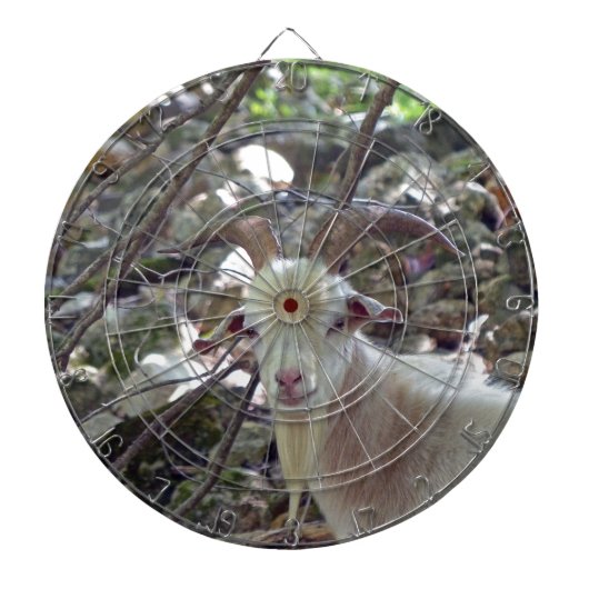 Billy Goat Dartbord (Voorkant)