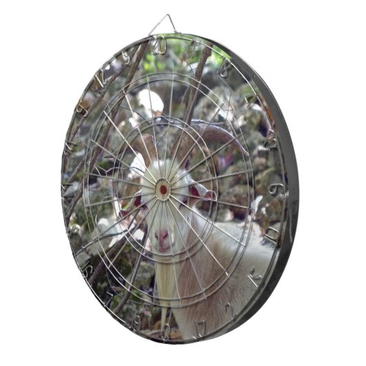 Billy Goat Dartbord (Voorkant Rechts)