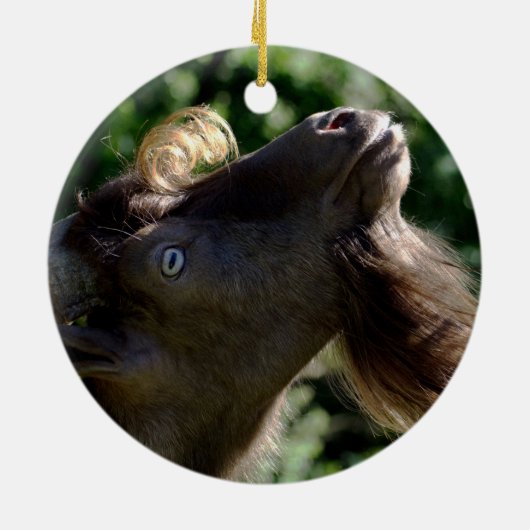 Billy Goat Keramisch Ornament (Achterkant)