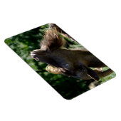 Billy Goat Magneet (Rechterzijde)