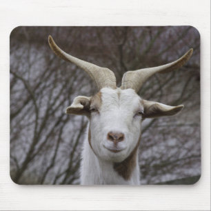 Billy Goat Muismat