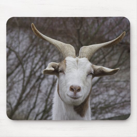 Billy Goat Muismat (Voorkant)