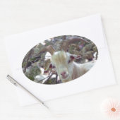 Billy Goat Ovale Sticker (Envelop)