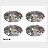 Billy Goat Ovale Sticker (Vel)
