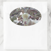 Billy Goat Ovale Sticker (Tas)