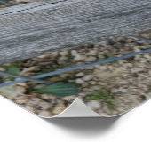 Billy Goat Poster (Hoek)