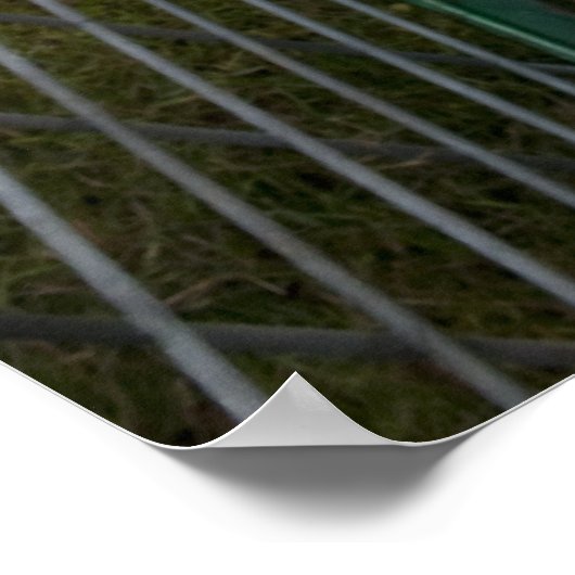 Billy Goat Poster (Hoek)