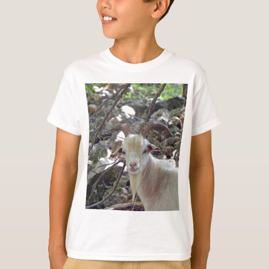 Billy Goat T-shirt (Voorkant)