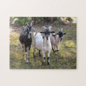 Billy Goats Puzzle (Horizontal)