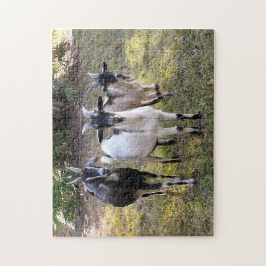 Billy Goats Puzzle (Vertical)