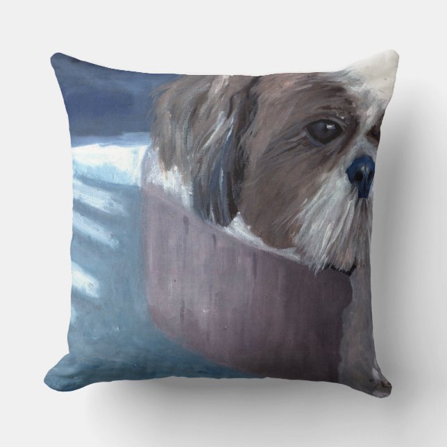 Billy Gooi Pillow Kussen (Voorkant)