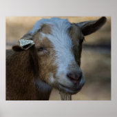 Billy Poster (Voorkant)